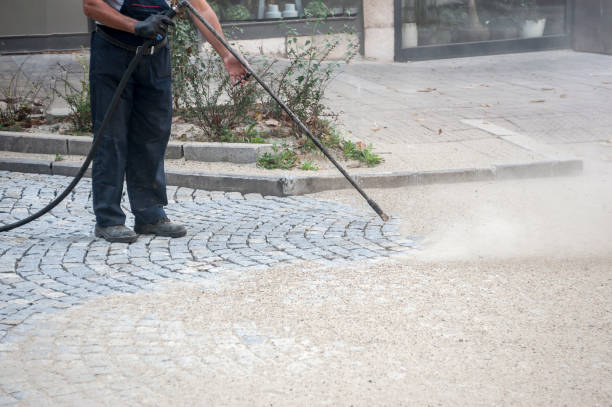 Best Animal Enclosure Cleaning  in Girard, KS